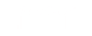 FastCAM-logo-reverse